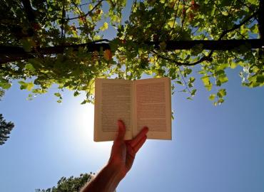 A book held open up in the air with trees above it, and the sun behind.
